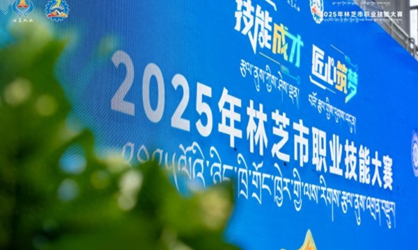 “技能成才 匠心筑梦”——2025年林芝市职业技能大赛成功举办